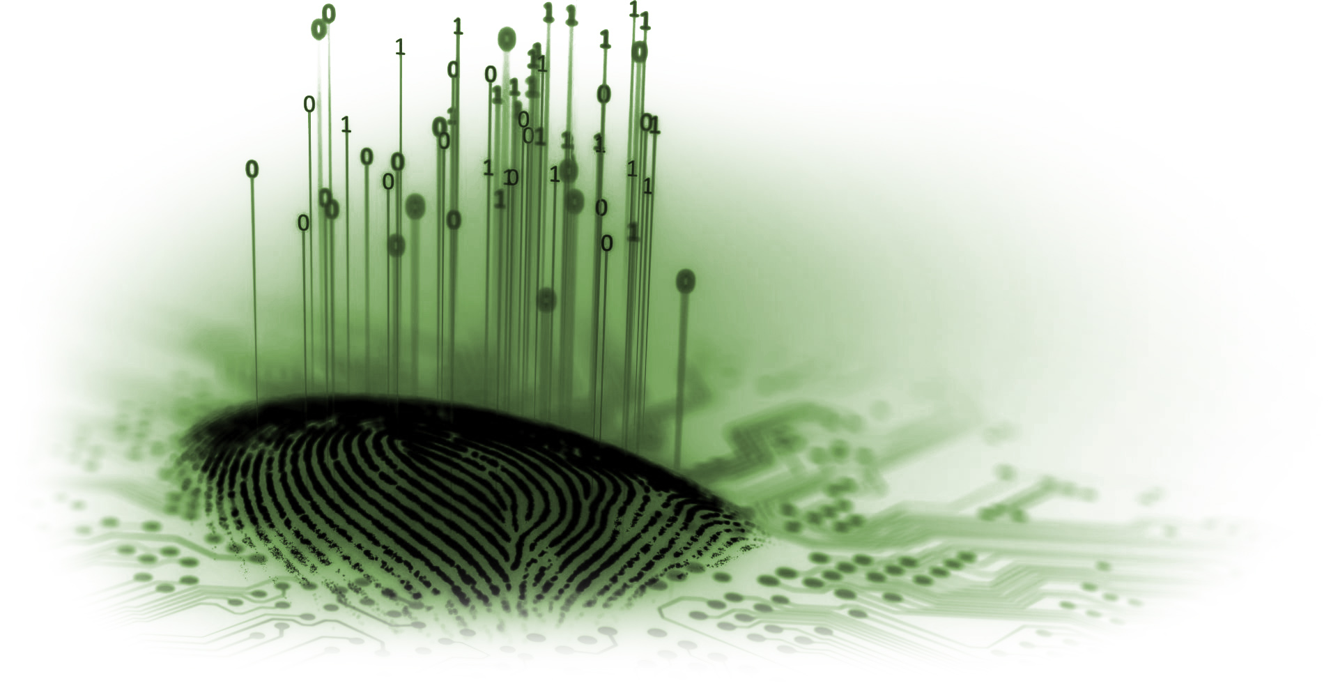 Identity Management 1 Identity Management 1