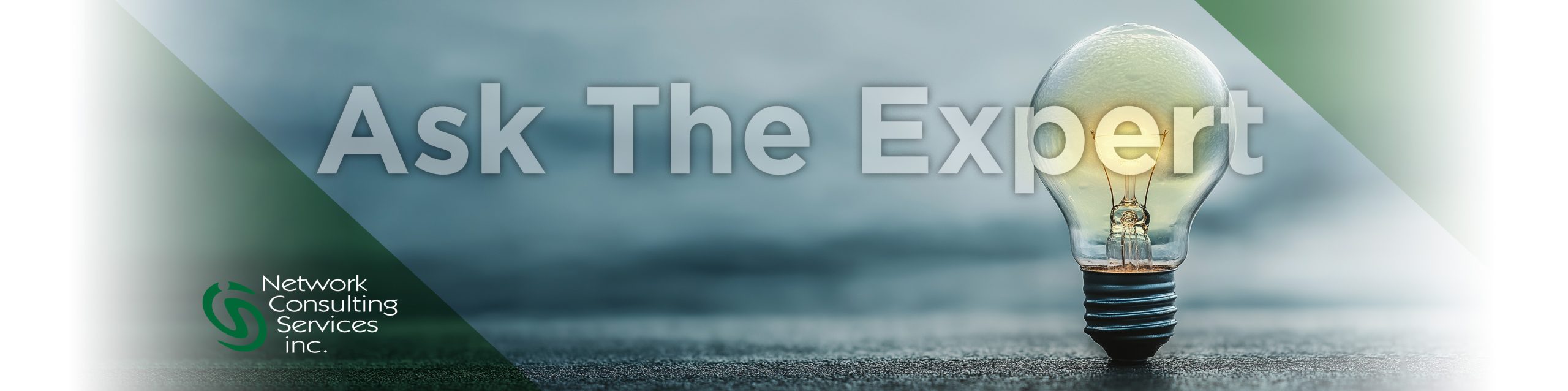 AskTheExpert_Header_wEnds_4500 Ask the NCSi Expert 1